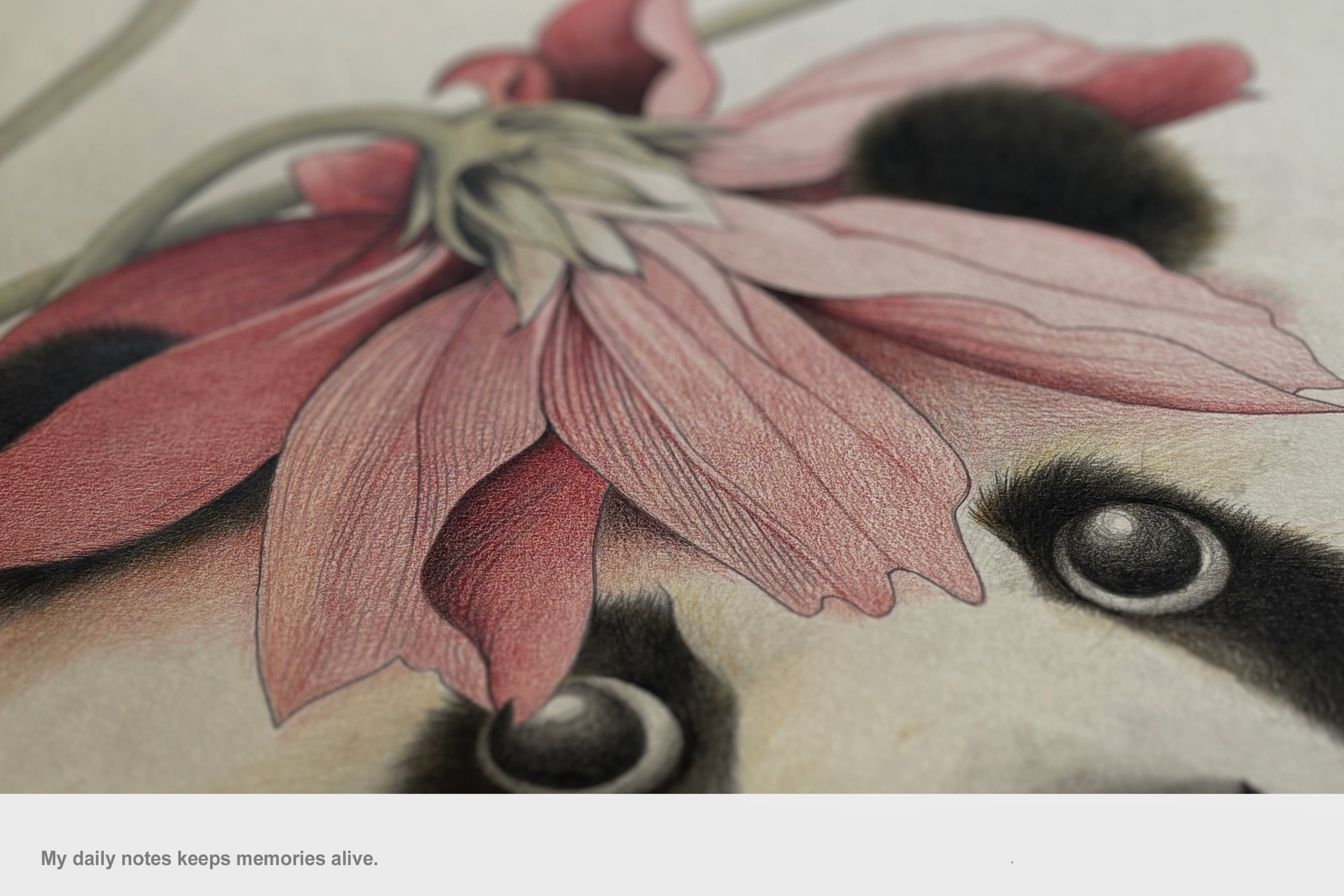 Hand drawn cute panda