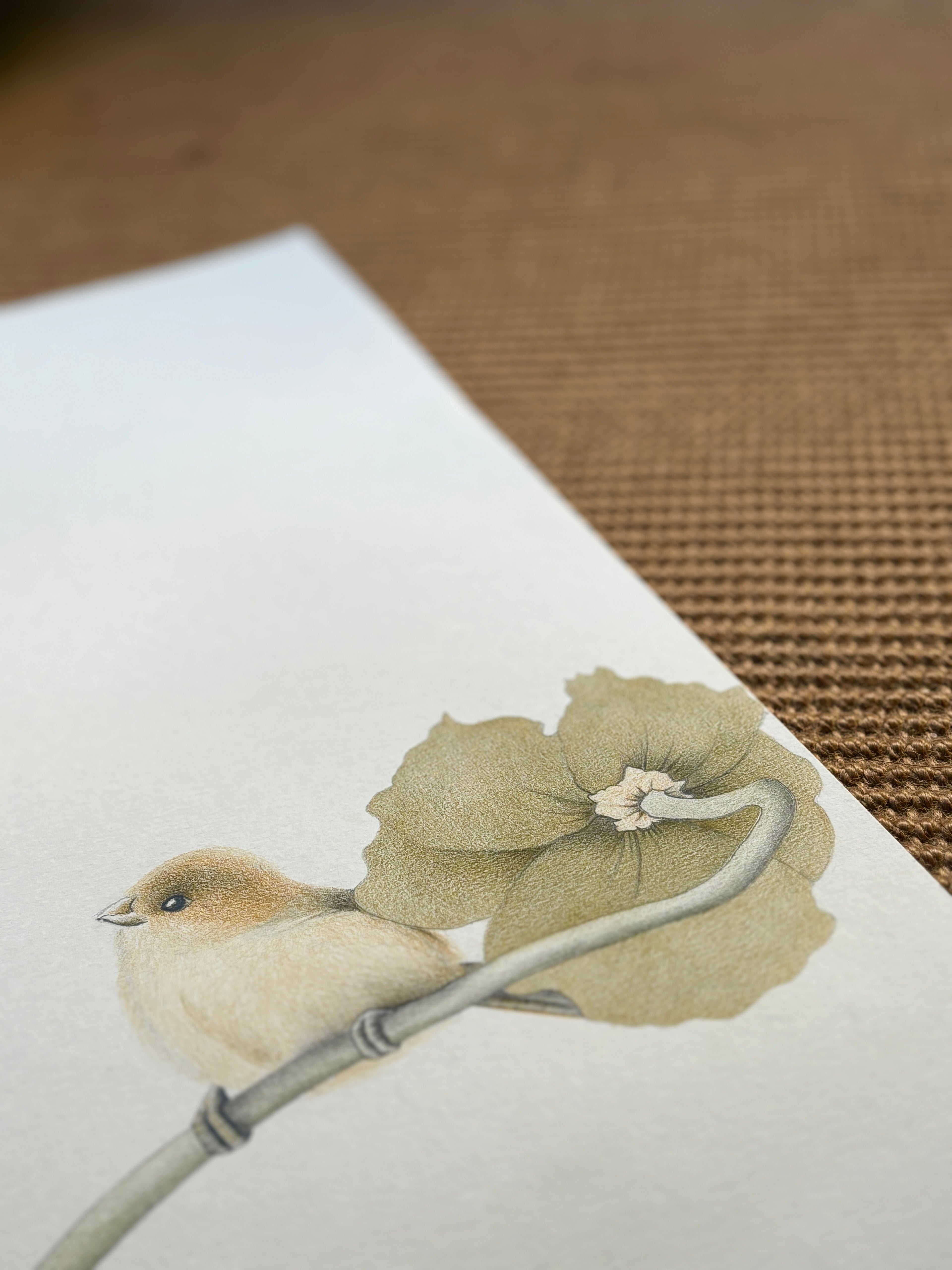 Hand drawn cute panda