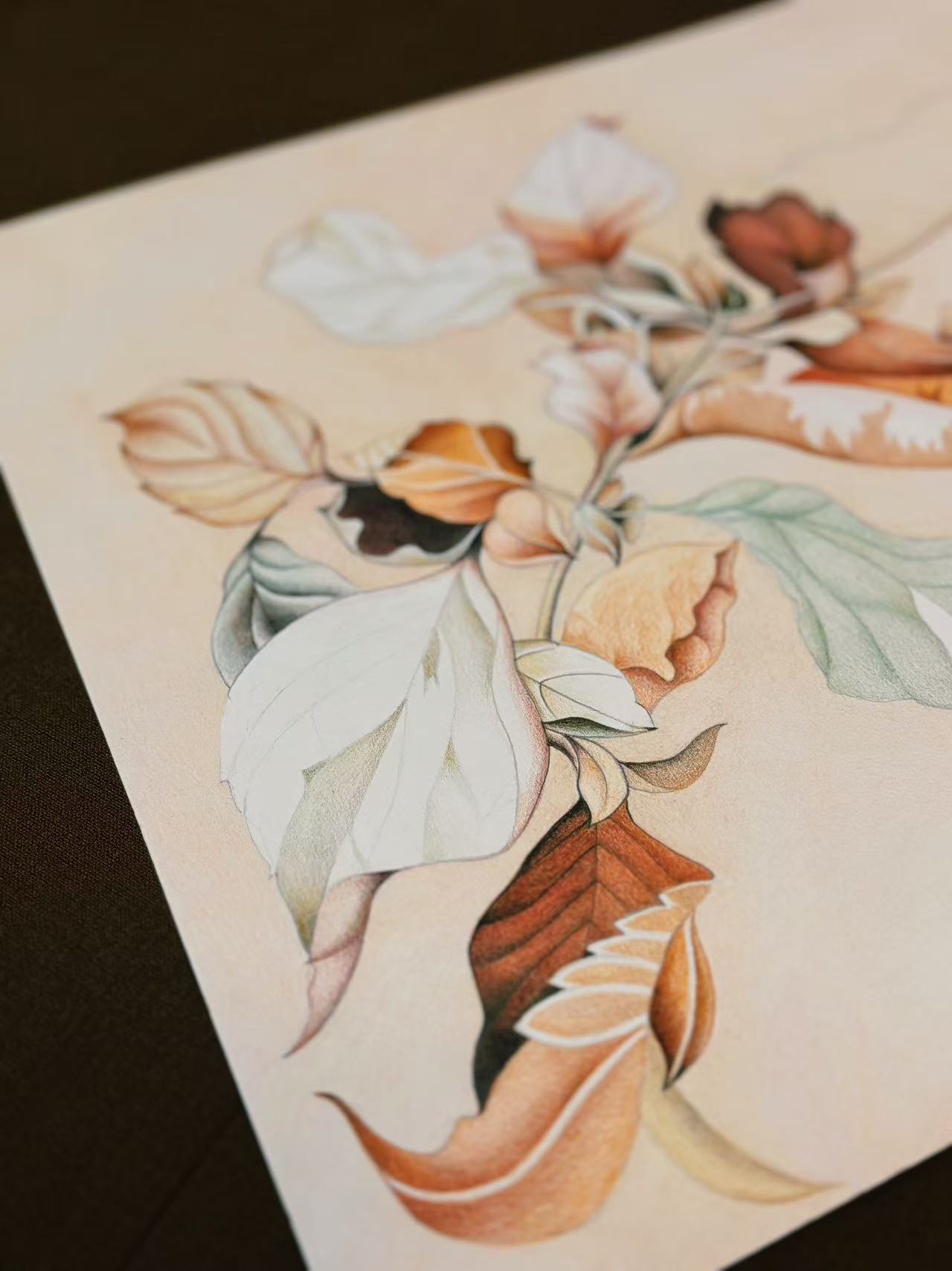 Dance of Disequilibrium