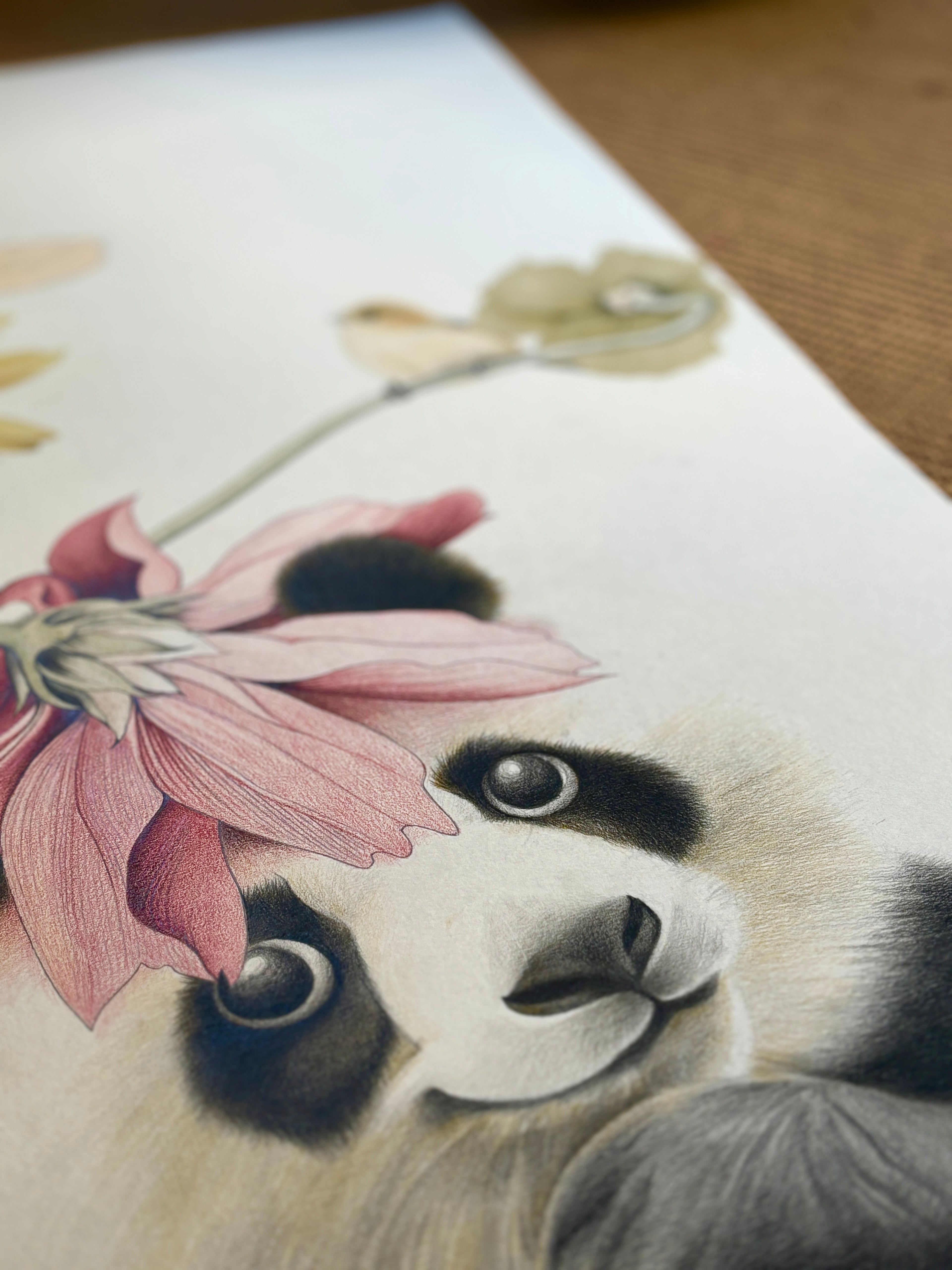 Hand drawn cute panda