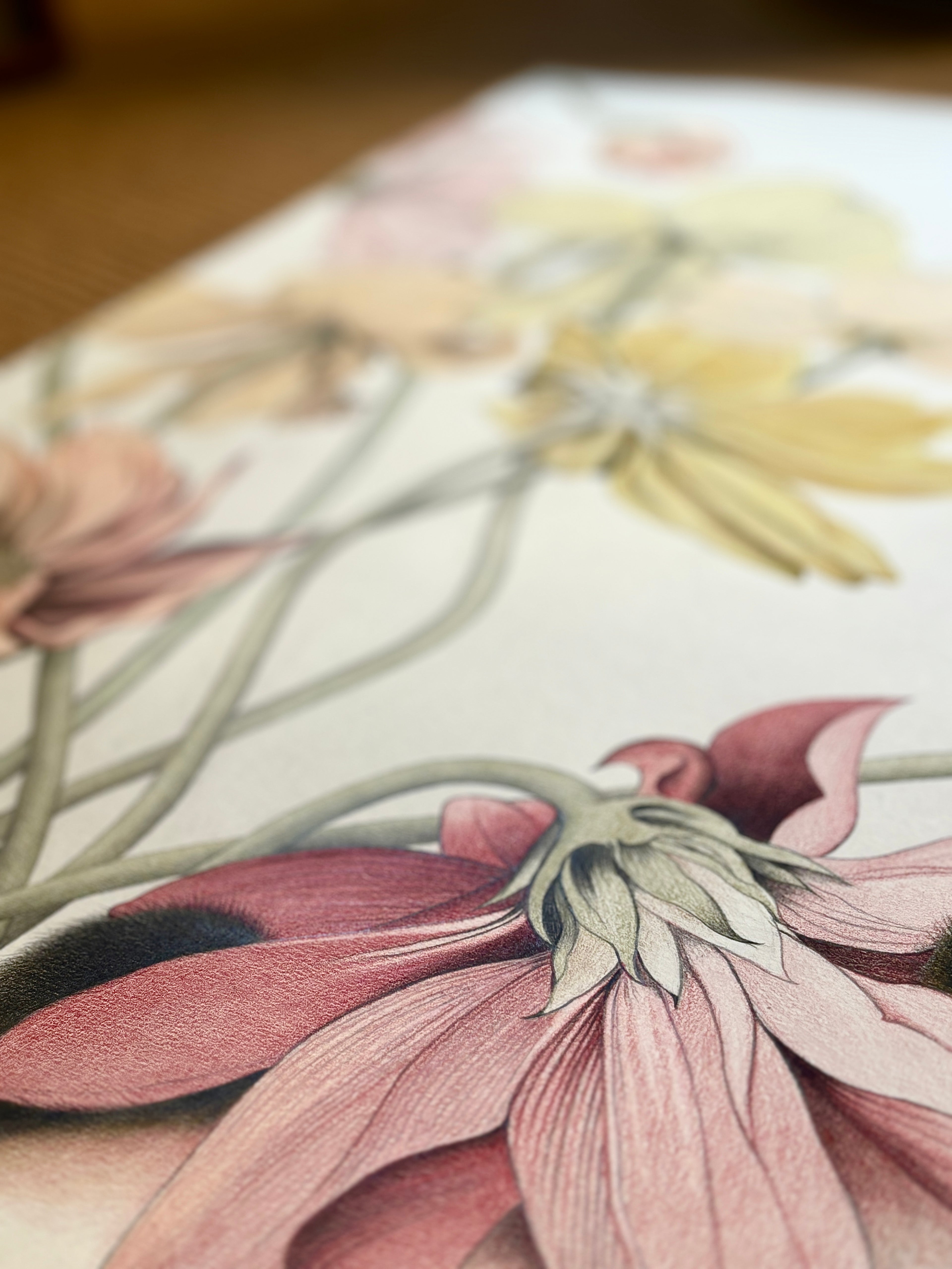 Hand drawn cute panda