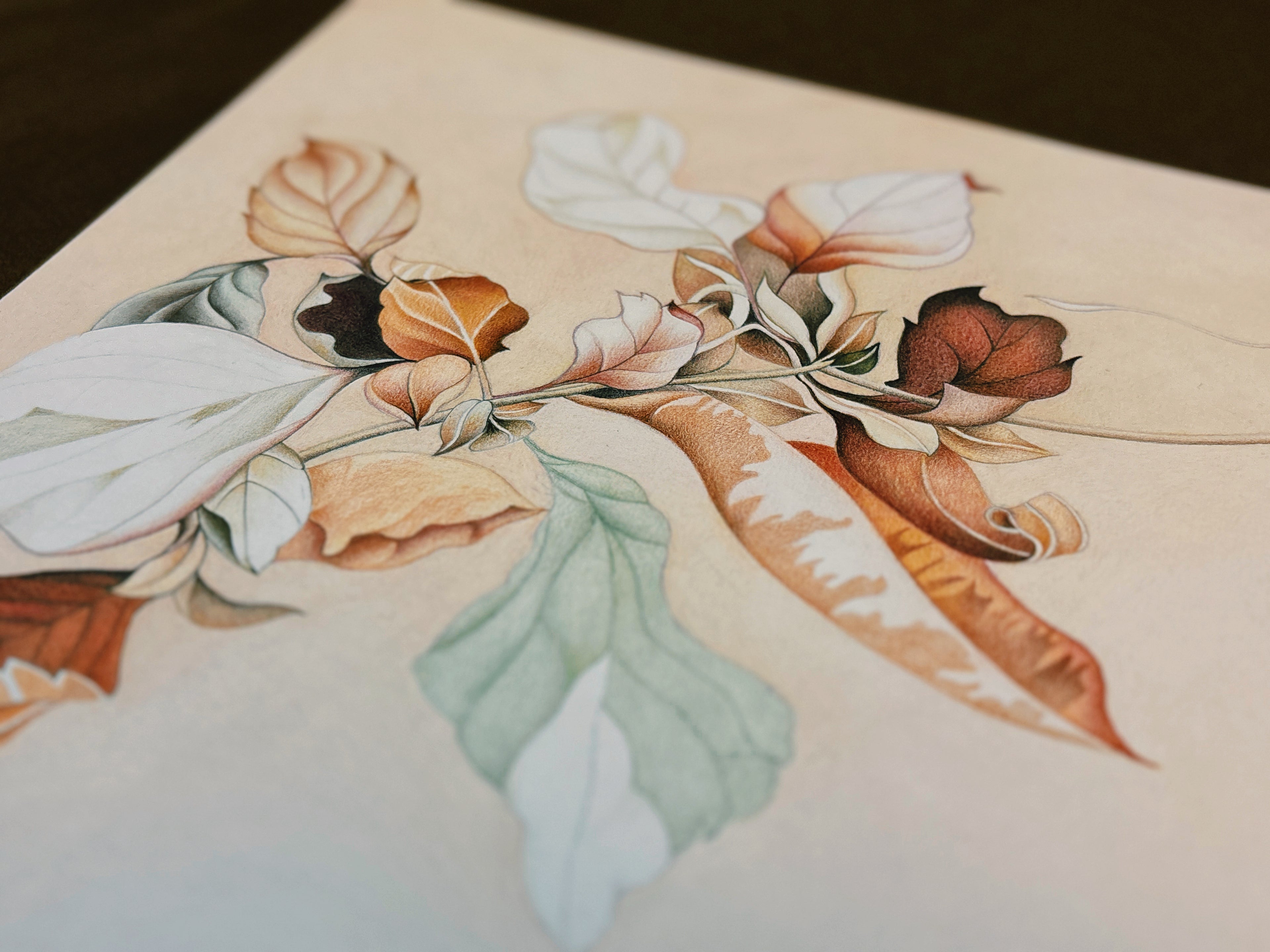 Dance of Disequilibrium