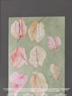 To Where Petals Return | Original Hand-painted Art by Momotanger