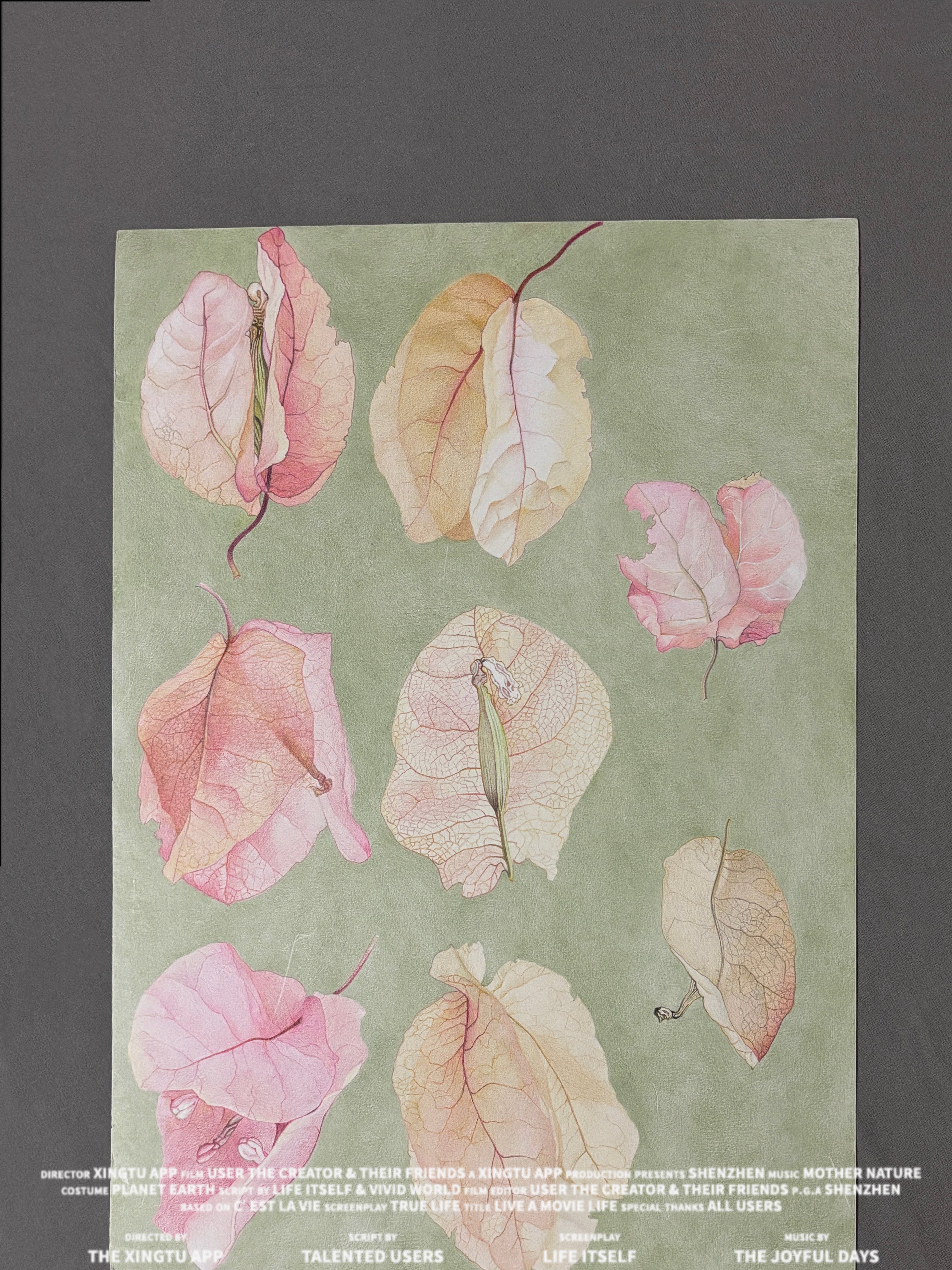 To Where Petals Return | Original Hand-painted Art by Momotanger