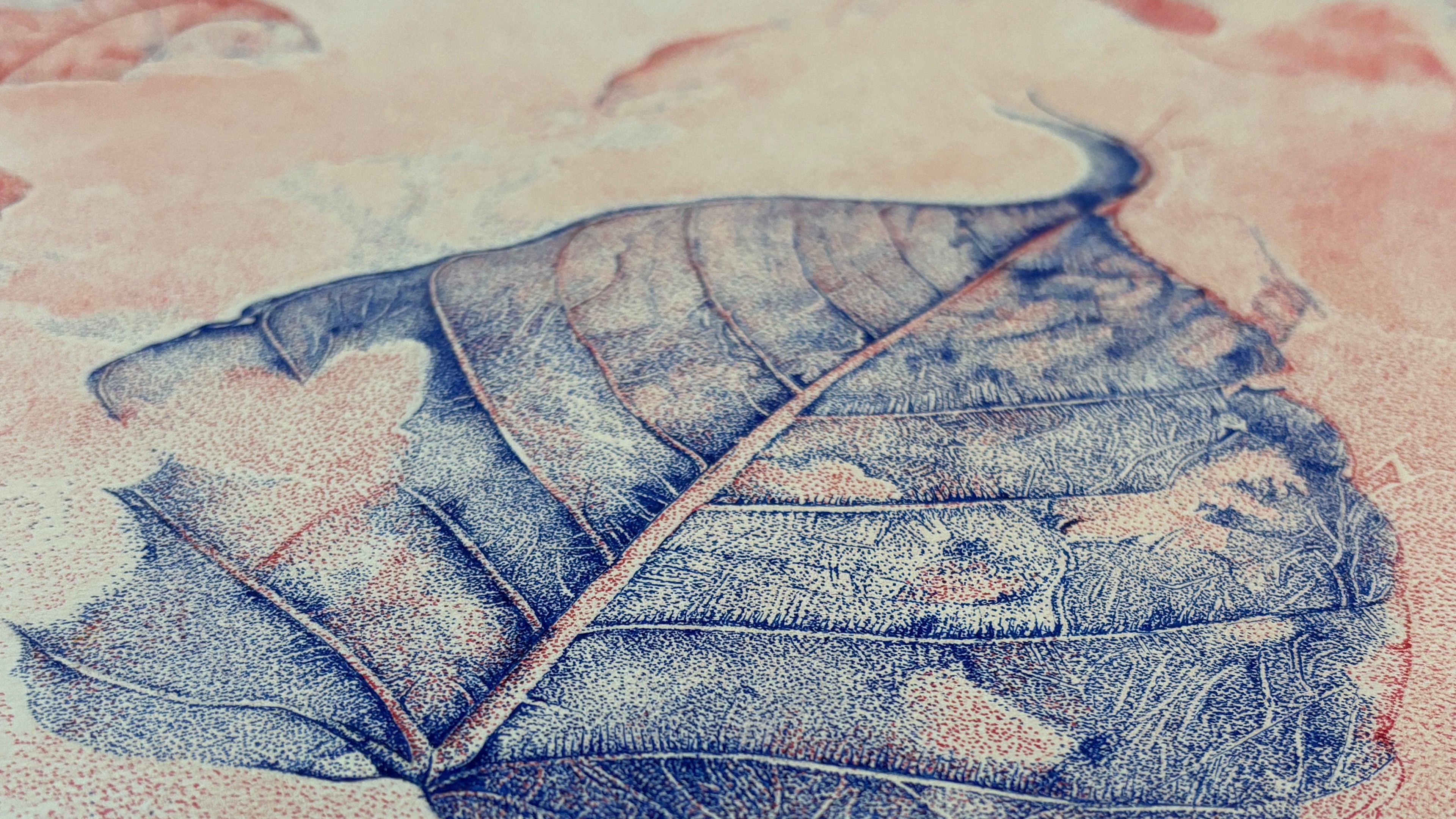 In Between Red and Blue