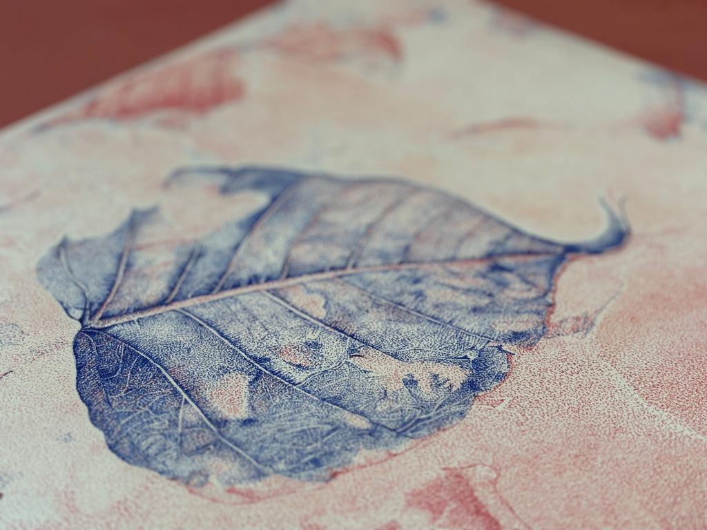 In Between Red and Blue