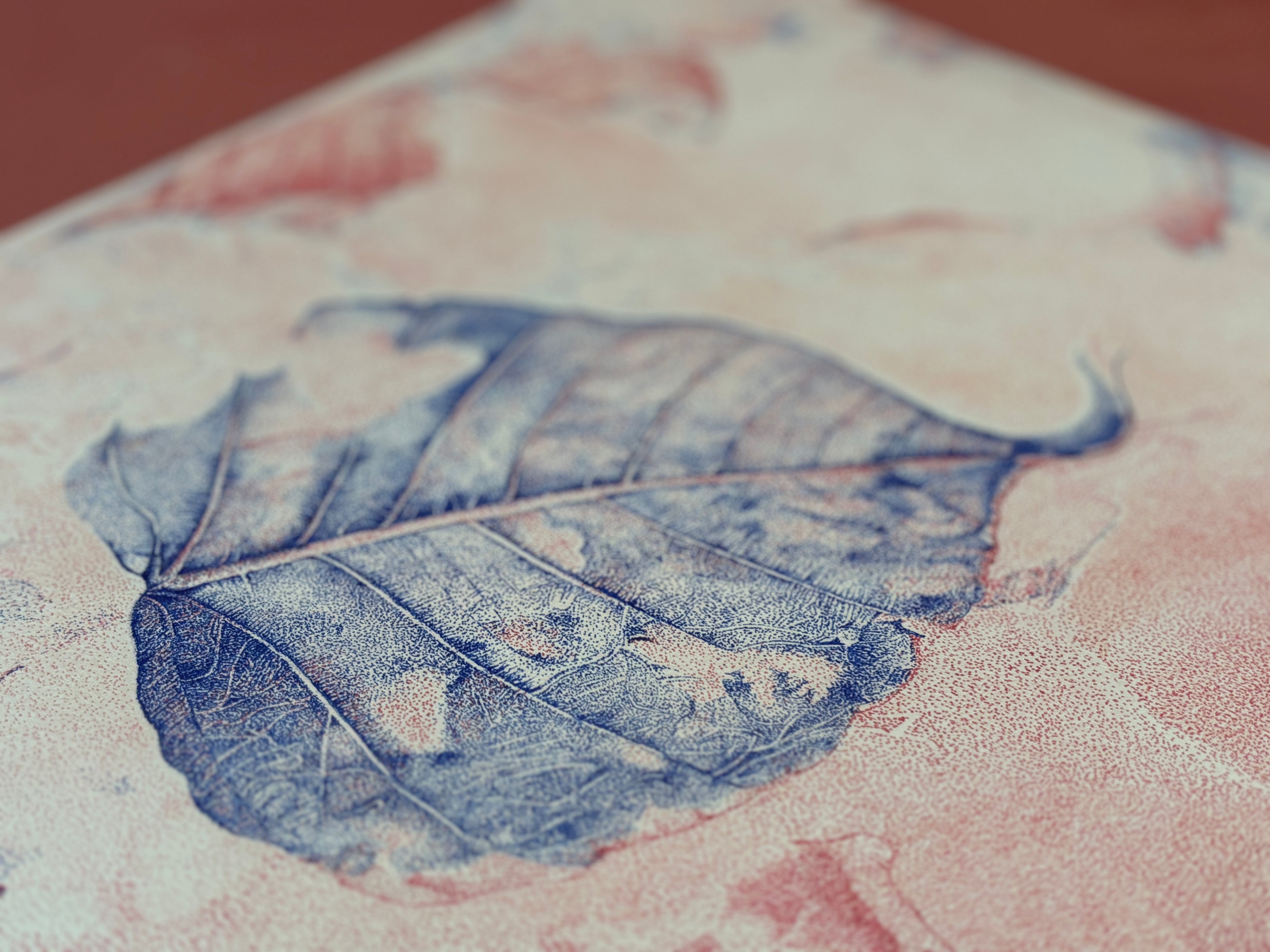 In Between Red and Blue