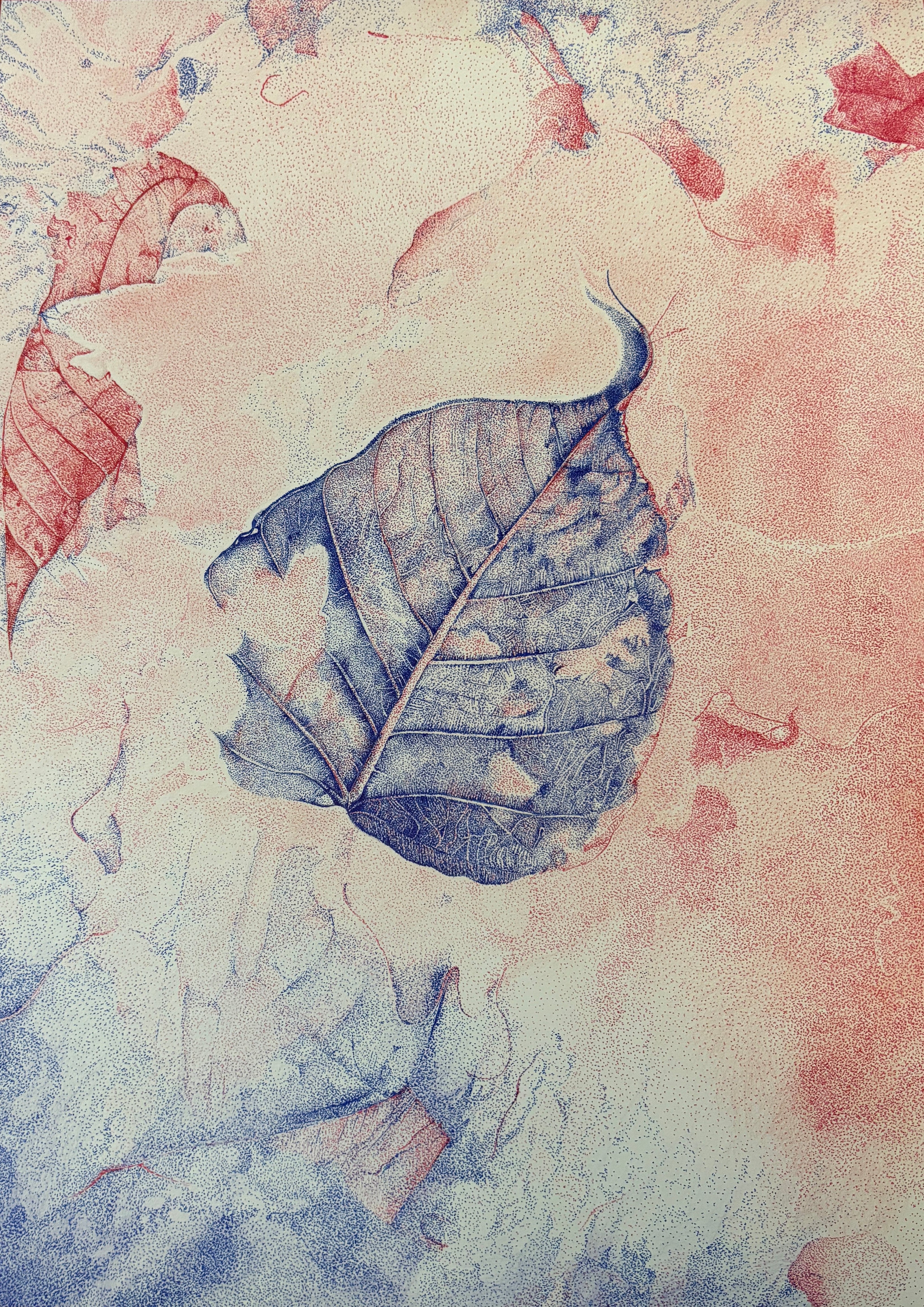 In Between Red and Blue